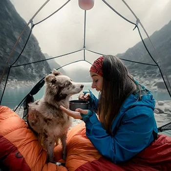 Camping with Pets: What You Need to Know for a Stress-Free Adventure