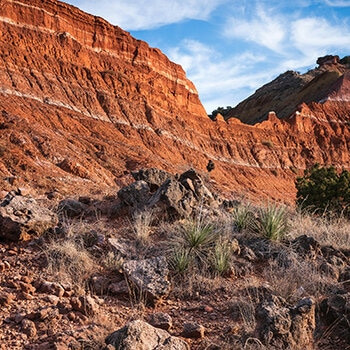 In the Wrangler through Texas: Exploring Mystical Camping Legends