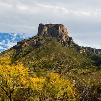 A Road Trip Through Texas: From El Paso to Longview