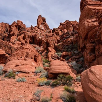 Red Rock Canyon: The Perfect Place for Travel and Walks