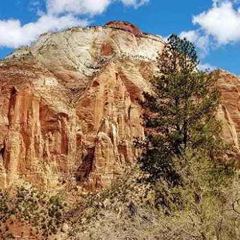 Zion National Park: An Amazing World of Canyons and Cliffs
