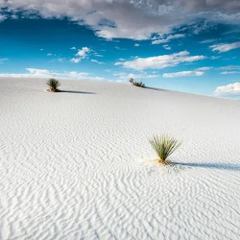 Whitesands Campgrounds National Park: A Mesmerizing Journey to Pure White Dunes