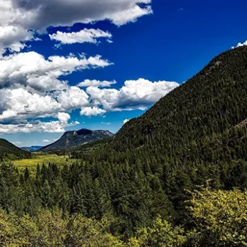 In the Heart of Colorado: The Wonders of Rocky Mountain Park