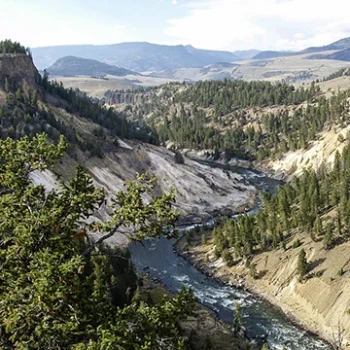 Secrets of Nighttime Yellowstone: The Park’s Hidden Life