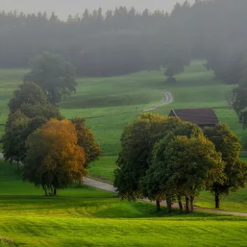 How the Road Shapes Our View and Sense of Composition?