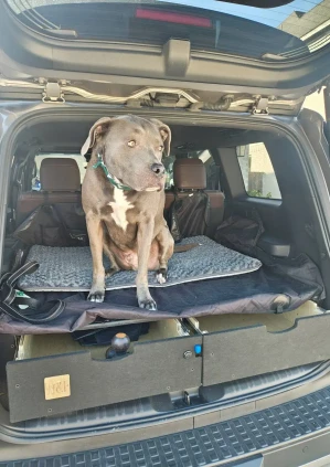 Main_camping_system_land_cruiser