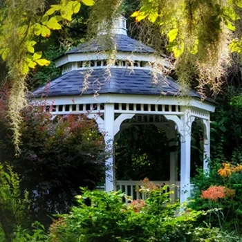 The Green Breath of Florida: A Day in Gainesville