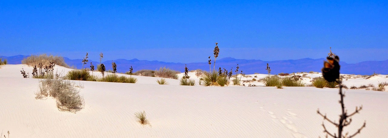 Camping sites white sands