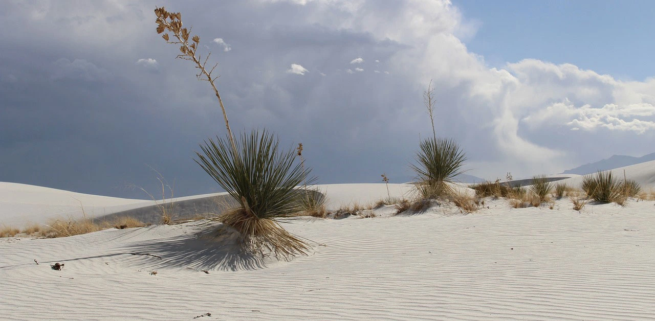 Camping sites white sands