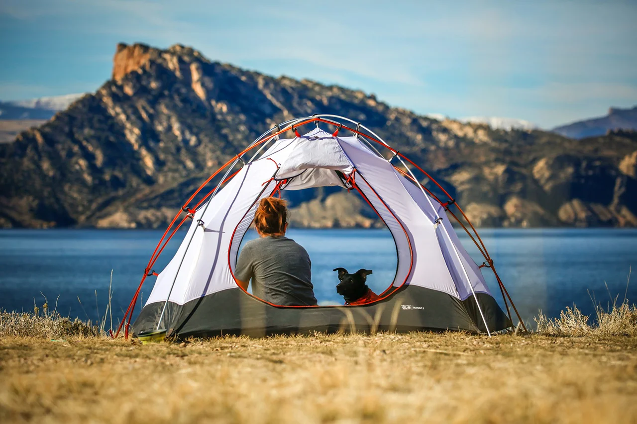 Outdoor recreation with a dog