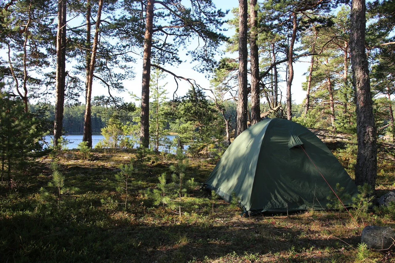 Camping in the woods