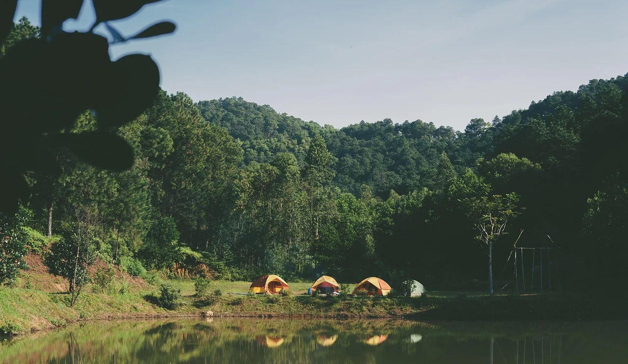 Camping in the woods
