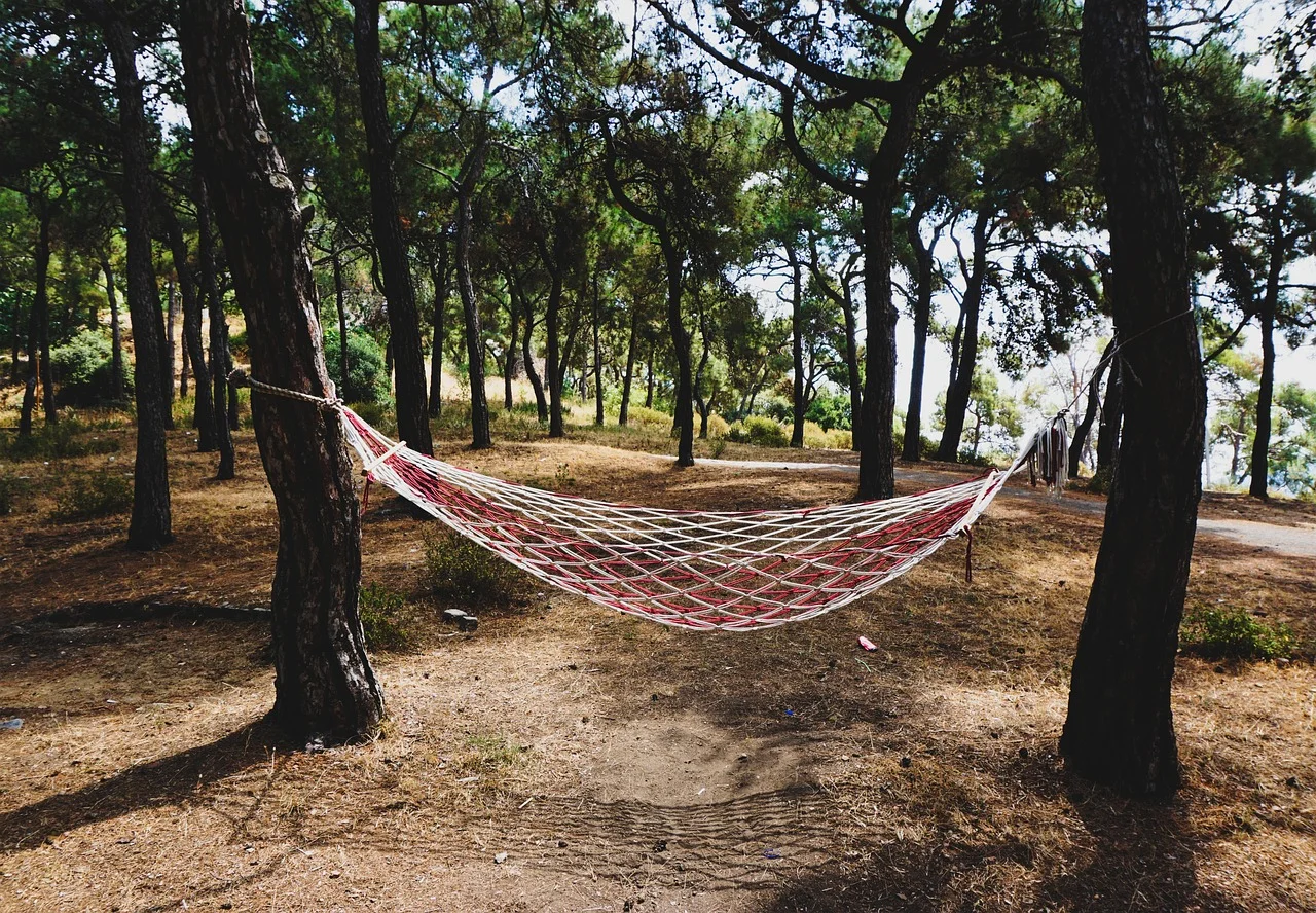 Camping in the woods
