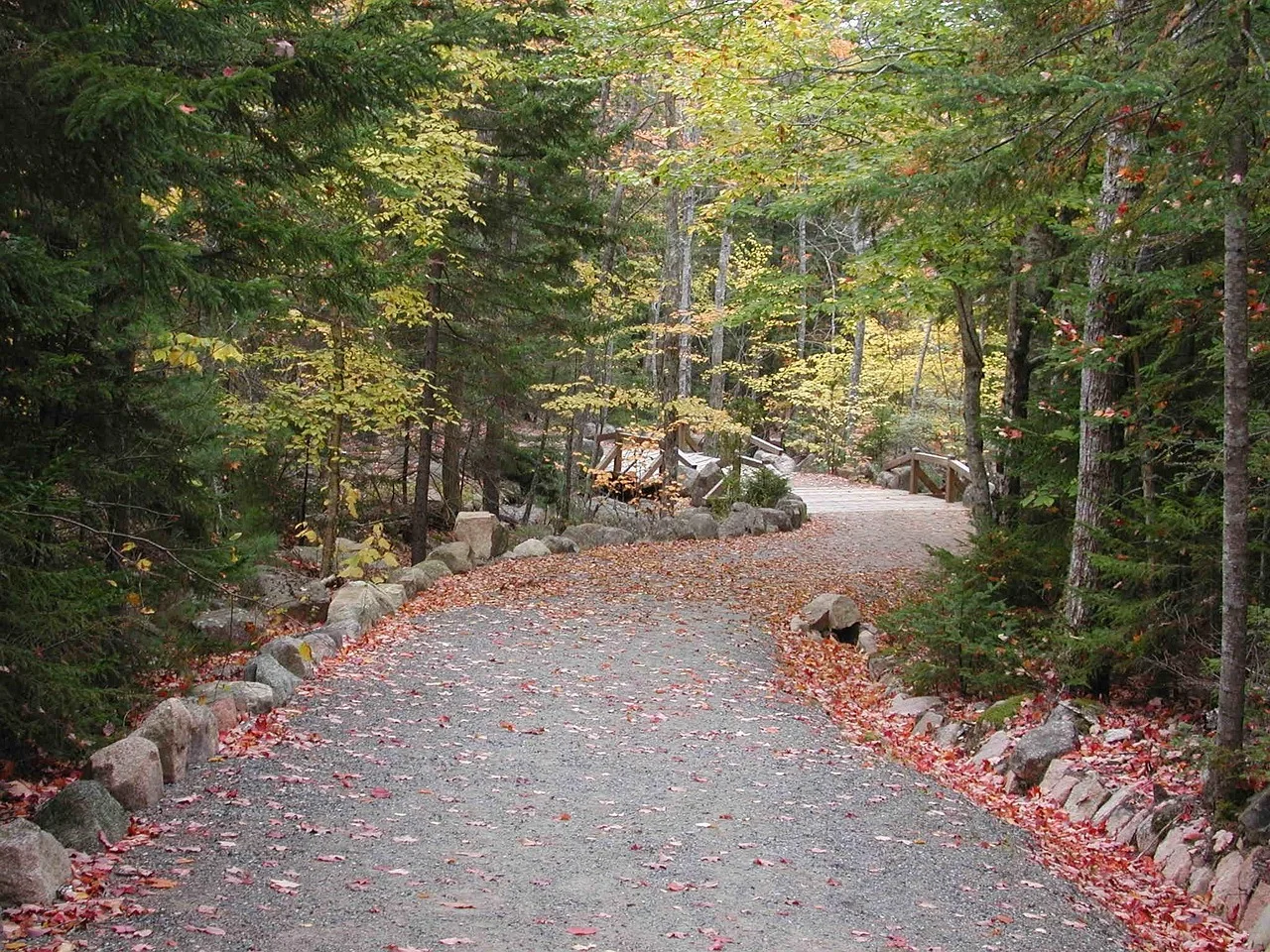Acadia national park