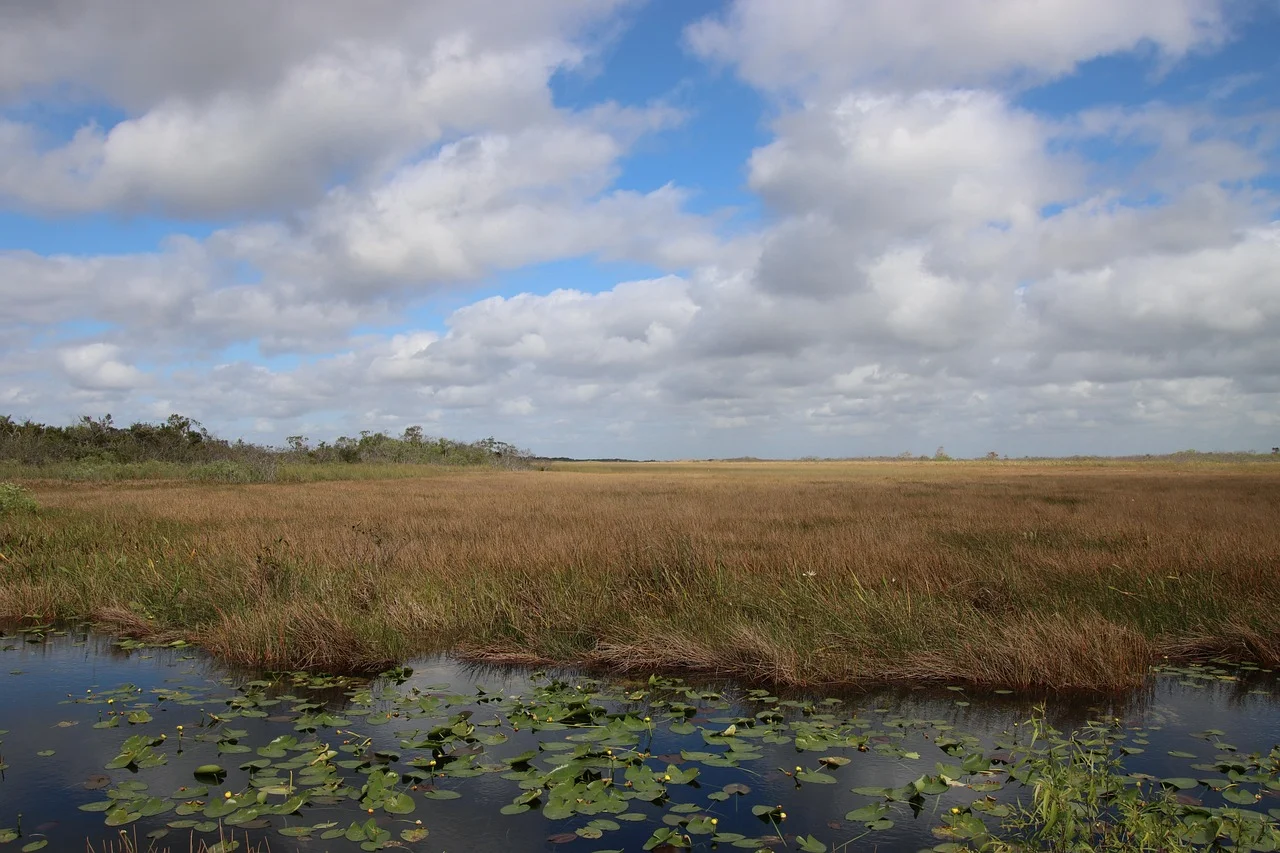 Everglades national park in florida