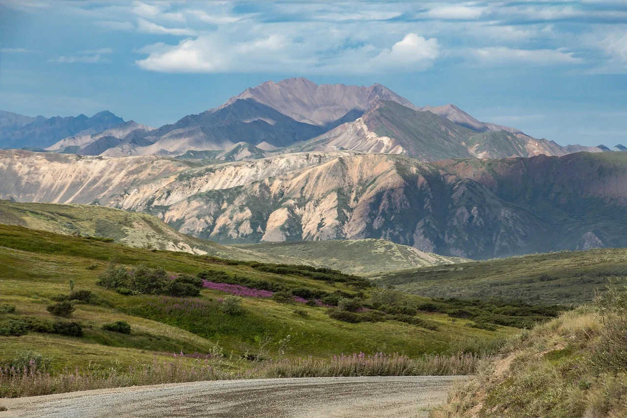 Denali alaska