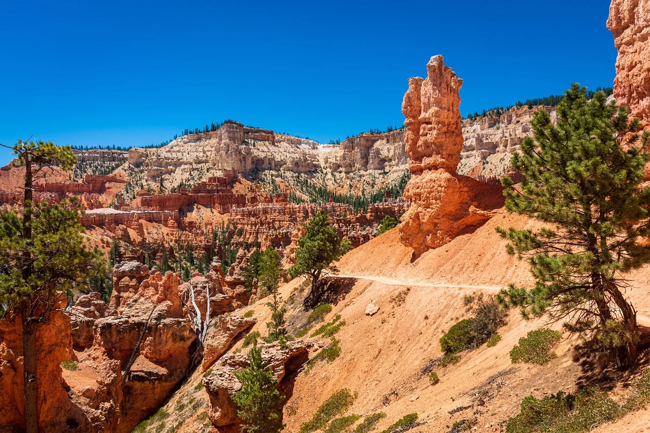Bryce canyon utah USA