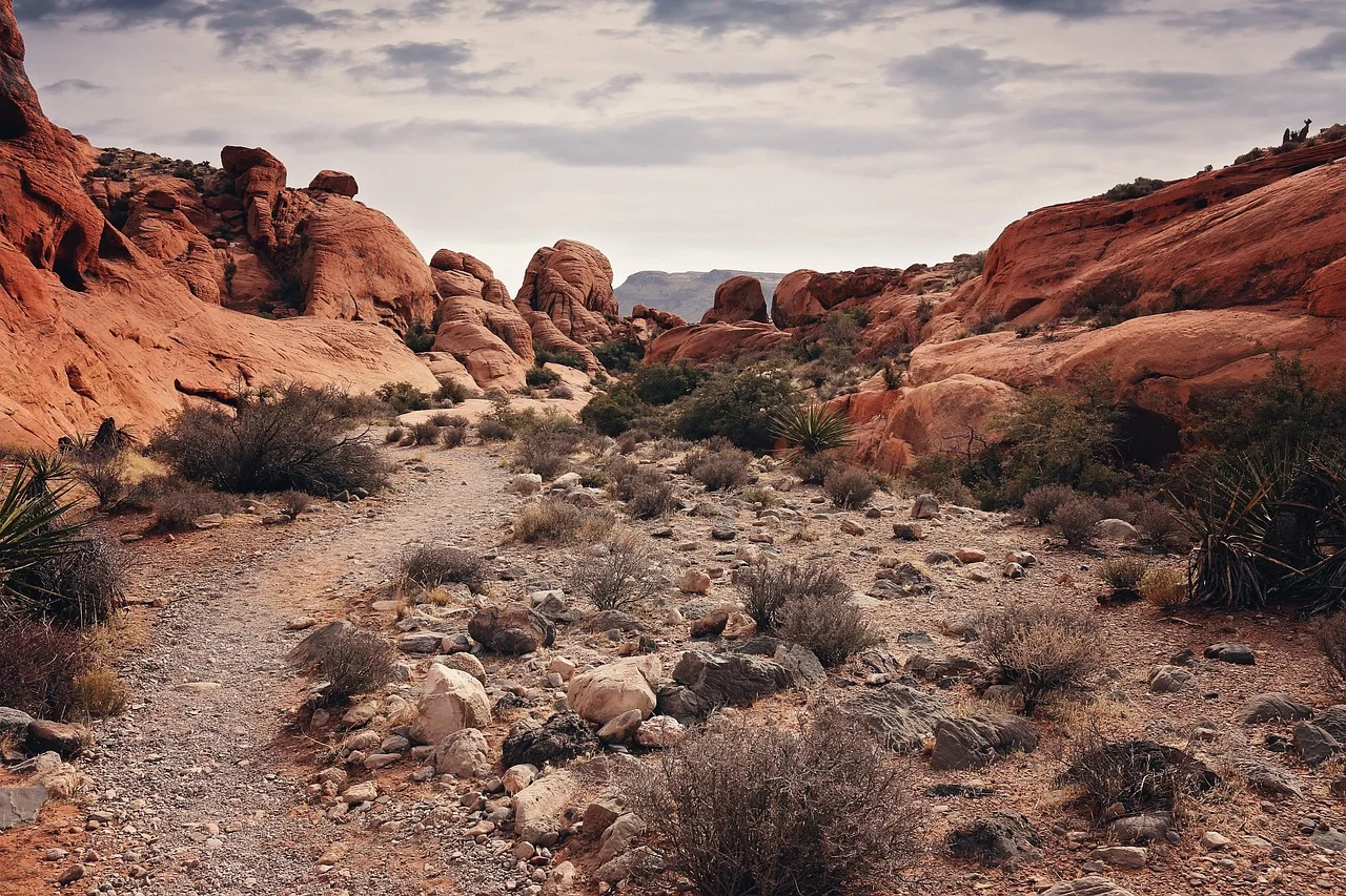 Large red rock formations