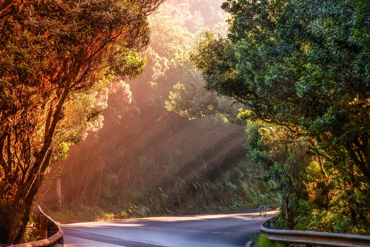 Road trip inspiration