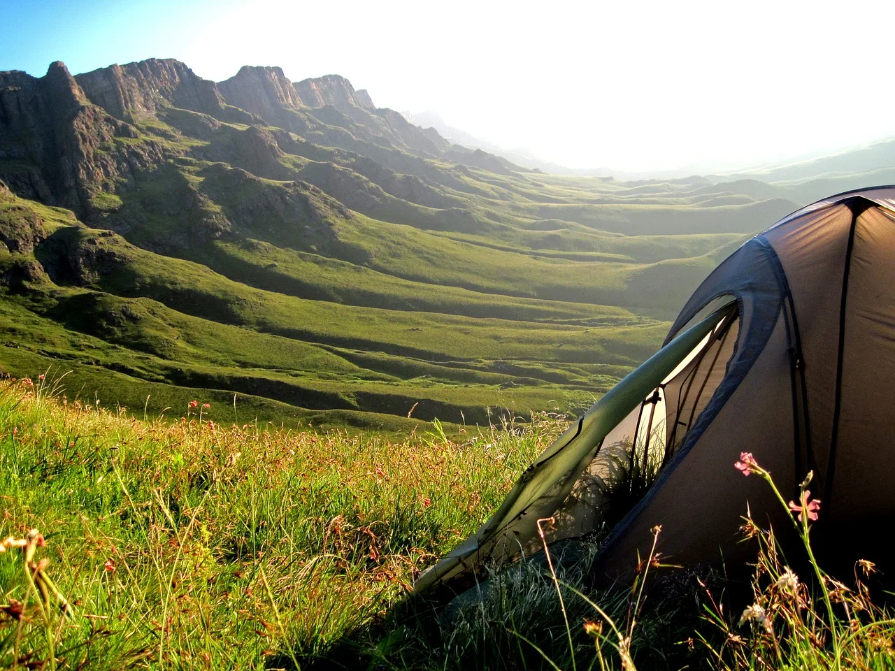 Rest on the edge of the forest