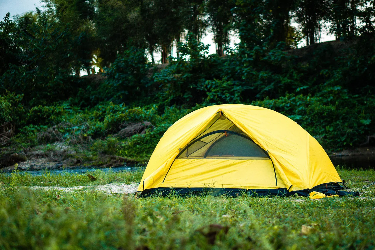 Camping in the forest