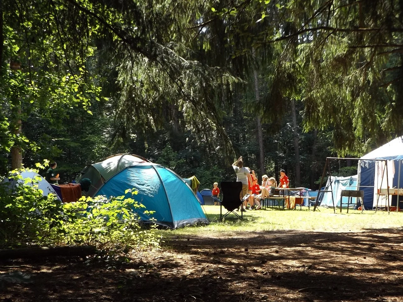 Camping in the forest