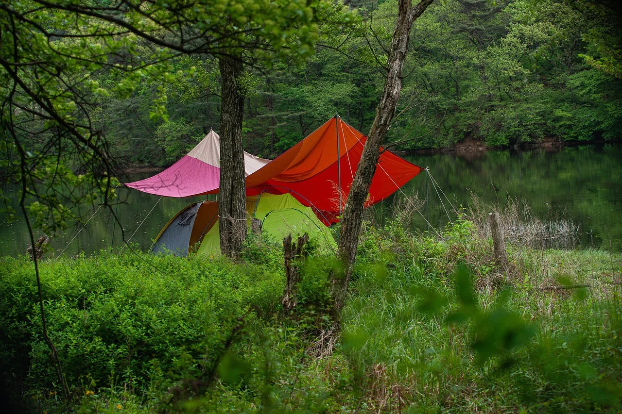 Camping in the forest