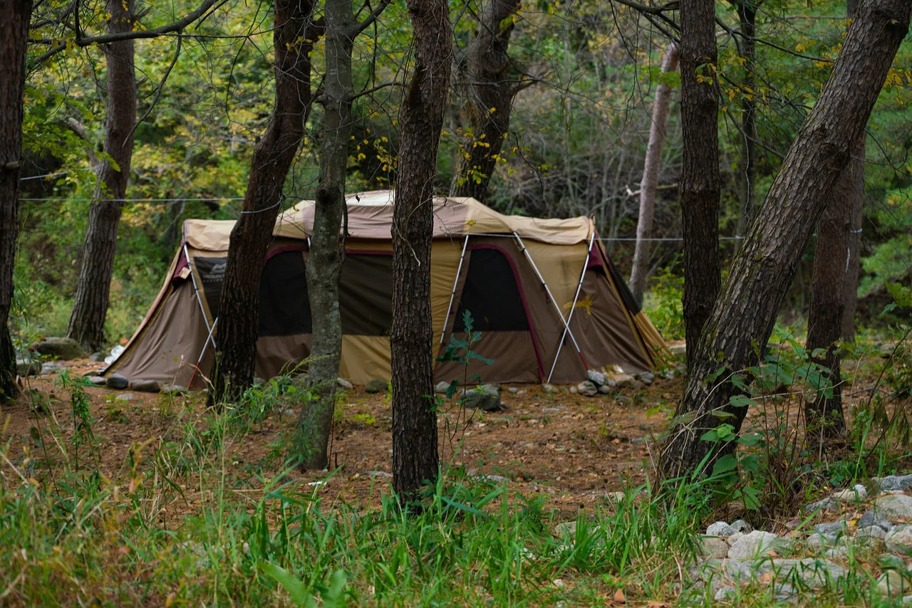 Comfortable rest in nature