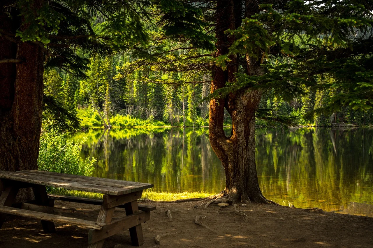 Comfortable rest in nature