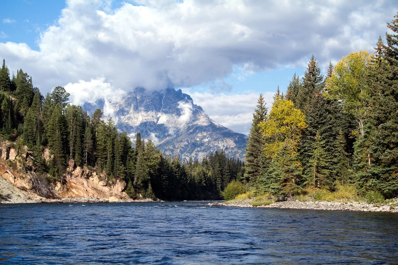 Oxbow lake grand teton