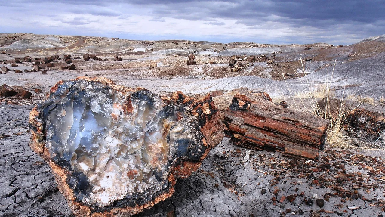 Petrified forest national park arizona