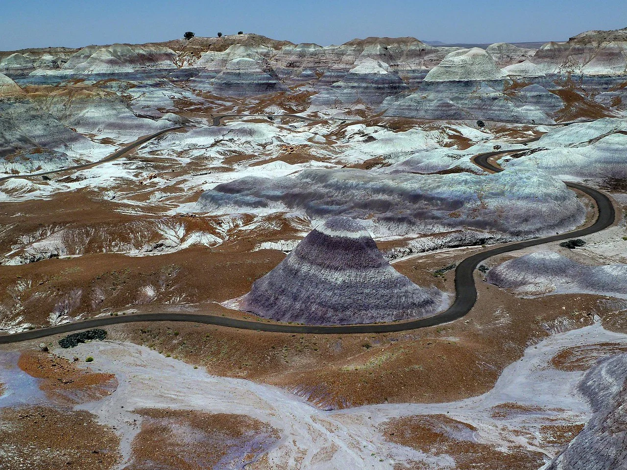 Petrified forest is an analogue of mars