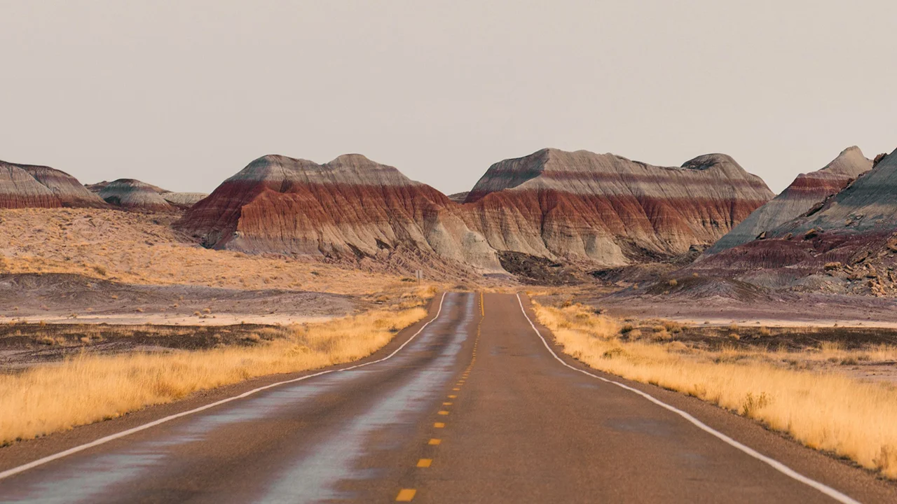 Petrified forest is an analogue of mars