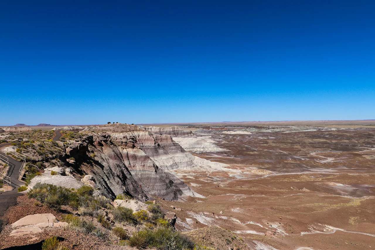 Amazing petrified forest national park