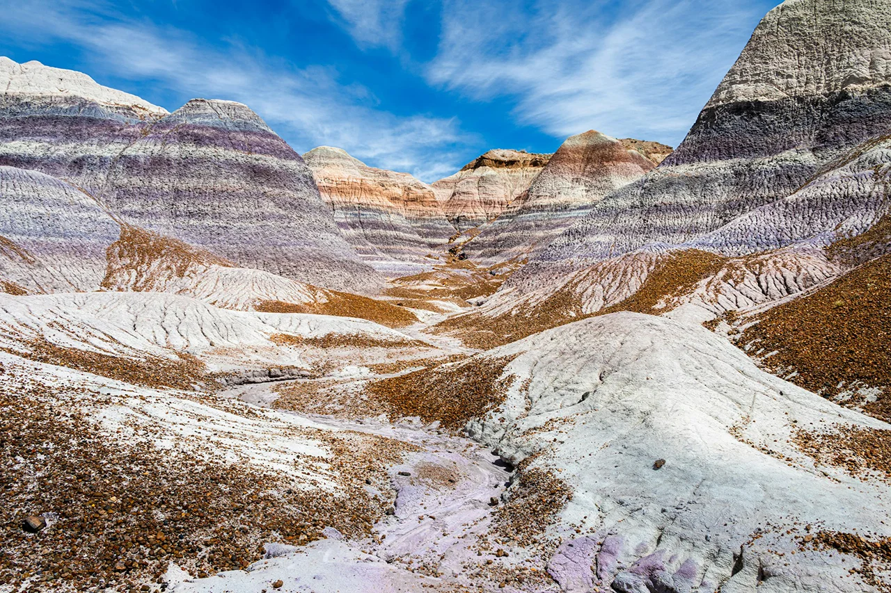 Amazing petrified forest national park