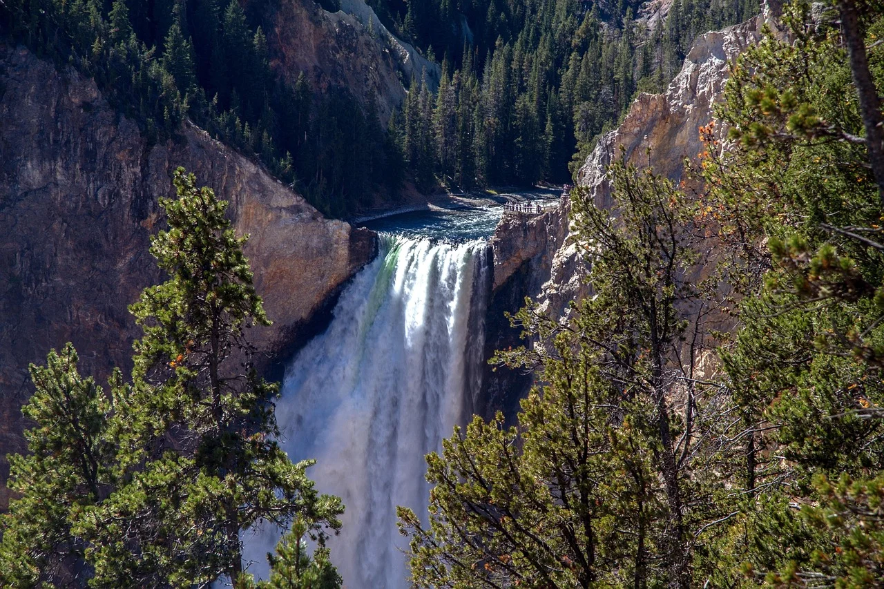 Yellowstone national park