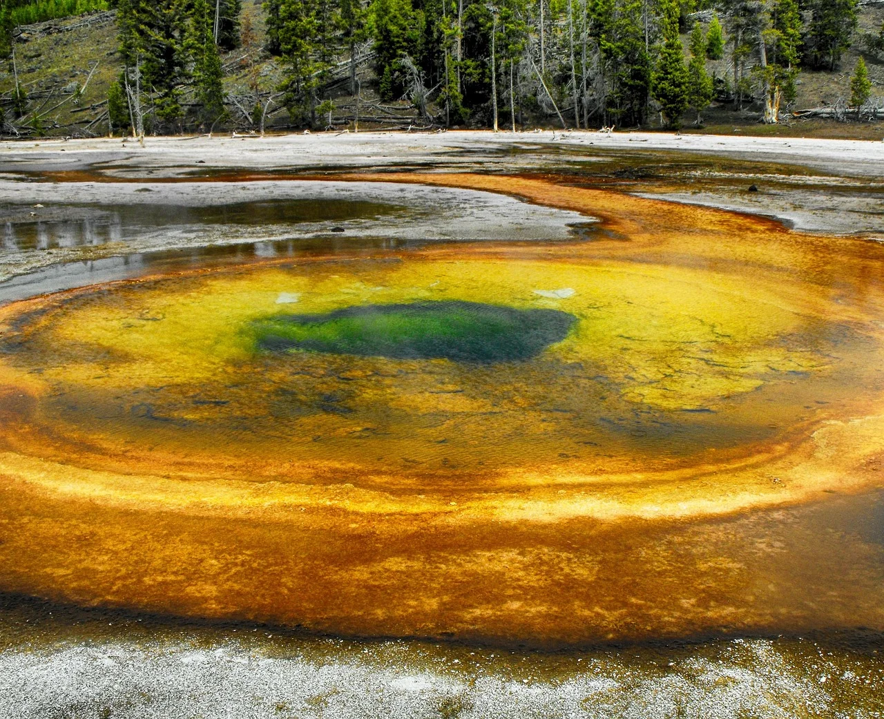Grand prismatic spring yellowstone