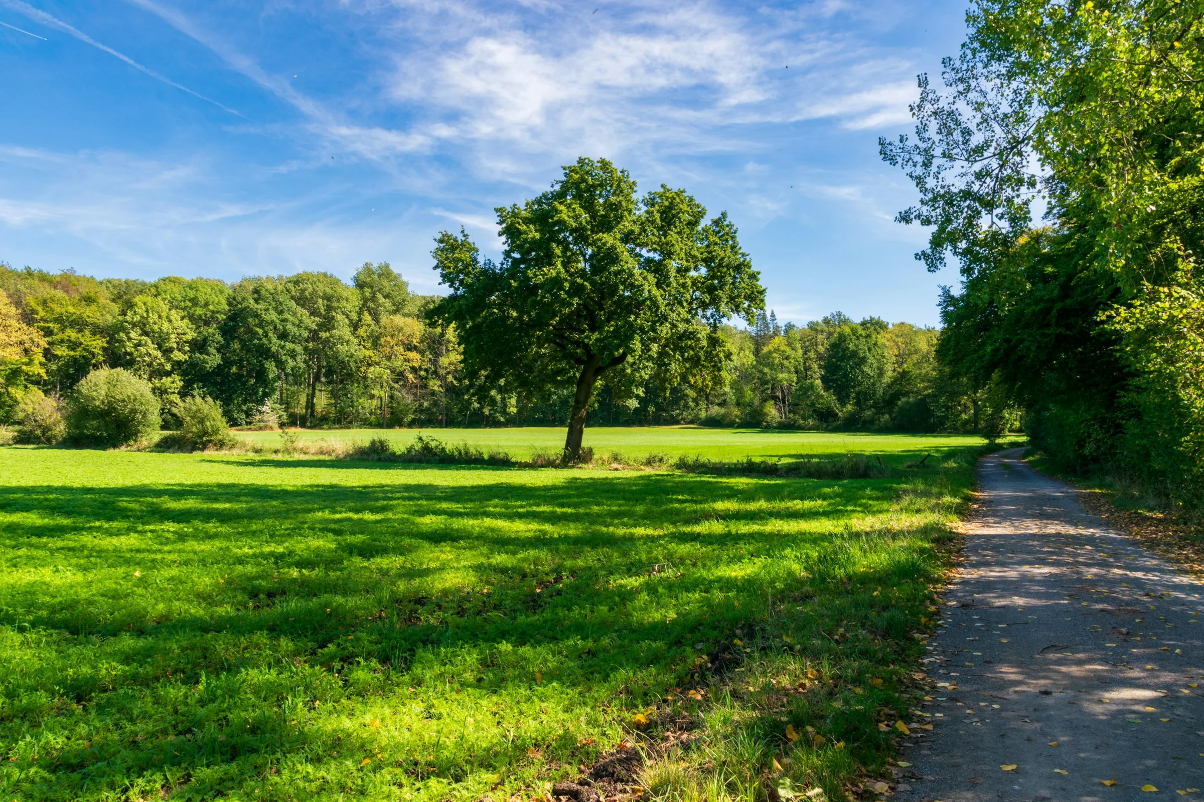 Unforgettable time in nature