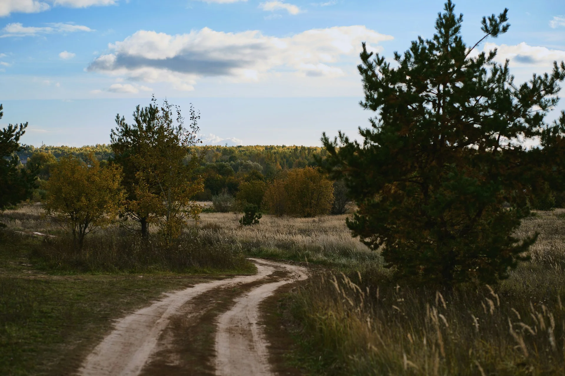 Unforgettable time in nature